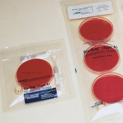 BD Environmental Chamber Bag Bio-Bag™ Translucent, Includes CO2 Gas Generators, Resealable Medias