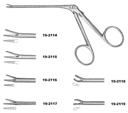 Ear Forceps Miltex® House 2-3/4 Inch Length OR Grade German Stainless Steel NonSterile Finger Ring Handle Straight 8 mm Very Flat Serrated Tapered Jaws