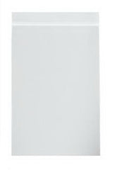RD Plastics Company Zip Closure Bag 6 X 6 Inch Plastic Clear - M-405103-1520 - Case of 1000