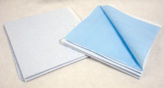 Cardinal Stretcher Sheet Flat 40 X 90 Inch Blue Polyethylene Backed Paper Tissue Disposable