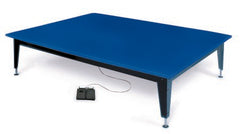 Hausmann Industries Mat Platform Series 1427 Bariatric Electric Hydraulic