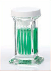 Fisher Scientific Staining Jar