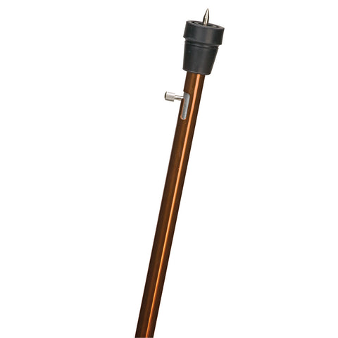 DMI Lightweight Adjustable Cane with Retractable Ice Tip AM-502-1315-5400