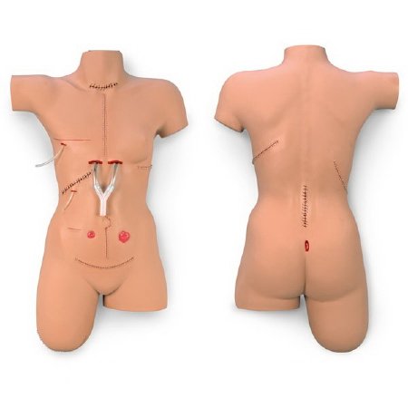 Nasco Bandaging Simulator Life/Form® Surgical Sally Female Adult 40 lbs. Vinyl
