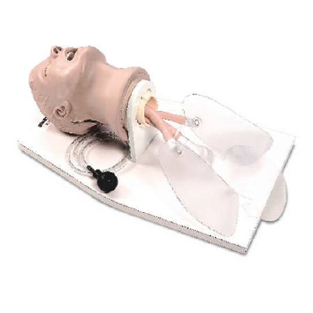 Nasco Adult Airway Management Trainer with Stand Life/Form®