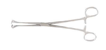 Miltex Tissue Forceps Miltex® Babcock 8-1/4 Inch Length OR Grade German Stainless Steel NonSterile Ratchet Lock Finger Ring Handle Straight 10 mm Wide Fenestrated Triangular Jaws - M-509837-4849 - Each