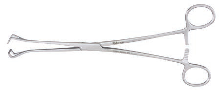 Miltex Tissue Forceps Miltex® Babcock 9-1/2 Inch Length OR Grade German Stainless Steel NonSterile Ratchet Lock Finger Ring Handle Straight 15 mm Wide Fenestrated Triangular Jaws - M-509838-3350 - Each