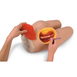 Nasco Intramuscular Injection Simulator Life/Form® Teaching Guide, Supply of Syringes, and Hard Carrying Case