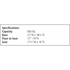 Bariatric Bath Seat with Brace