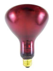 Brandt Industries Infrared Lamp 175 Watts
