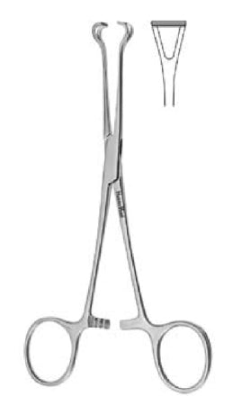 Intestinal Forceps MeisterHand® Baby Babcock 5-1/2 Inch Length Surgical Grade German Stainless Steel NonSterile Ratchet Lock Finger Ring Handle Curved Delicate Fenestrated Triangular Jaws