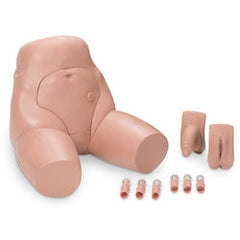 Nasco Interchangeable Catheterization & Enema Simulator Male and Female Genitalia, Six Connectors, and Carry Case