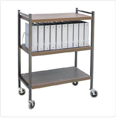 Omnimed Vertical Chart Rack Omnicart® Steel 43-3%XE2?%X844 H X 34-1%XE2?%X842 W X 17 D