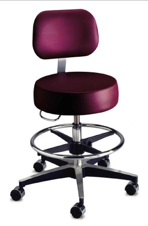 The Brewer Company Exam Stool Backrest Pneumatic Height Adjustment 5 Casters