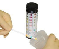 LW Scientific Regent Strips Labstix® Blood, Glucose, Ketone pH, Protein 100 per Bottle
