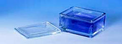 Fisher Scientific Handle 20-Slide Glass Staining Dish