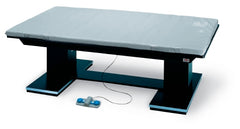 Hausmann Industries Mat Platform Series 1449 Dual Lift Powermatic® 6 W X 8 L Foot 19 to 28 Inch Height Laminate / Aluminum Frame