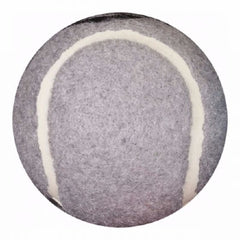 Patterson Medical Supply Briggs Tennis Ball Glide