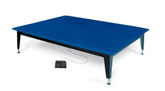 Hausmann Industries Mat Platform Series 1427 Bariatric Electric 4 W X 7 L Foot 20 to 30 Inch Height Steel Frame