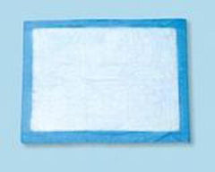 Tidi Products Procedure Underpad Tidi® 22 W X 24 L Inch Blue NonSterile