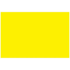 Precision Dynamics Blank Label CS-2® Multipurpose Label Yellow Paper 5/8 X 15/16 Inch - M-769600-3058 - Box of 24