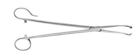 V. Mueller Tonsil Seizing Forceps White 9-1/2 Inch Length - M-774451-4800 - Each