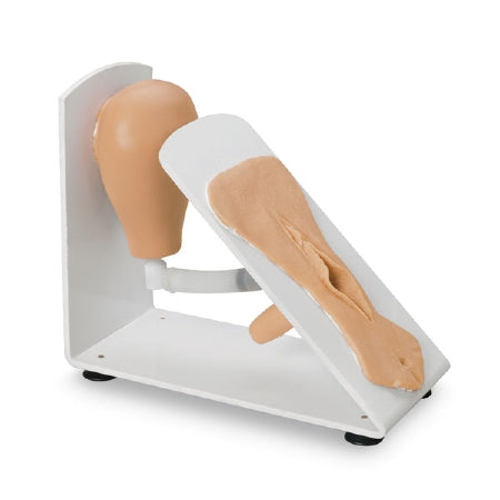 Nasco Female Catheterization Training Model