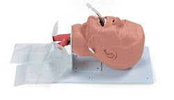 Nasco Airway Management Trainer with Board Male Adult