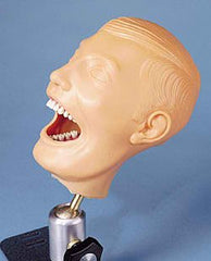 Nasco Dental Manikin