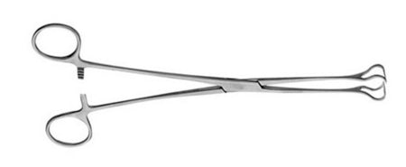 V. Mueller Thoracic Tissue Forceps V. Mueller® Babcock 9-1/2 Inch Length Jaws 16mm Wide - M-802478-4554 - Each