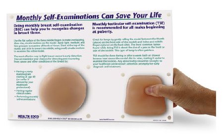 Nasco Nonsexual Breast and Testicular Self Examination Nasco