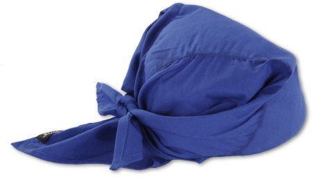 Ergodyne Evaporative Cooling Triangle Hat with Cooling Towel Chill-Its® Blue One Size Fits Most