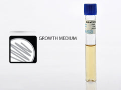 Troy Biologicals Prepared Media Brain Heart Infusion (BHI) Broth with Ciprofloxacin Clear Tube Format