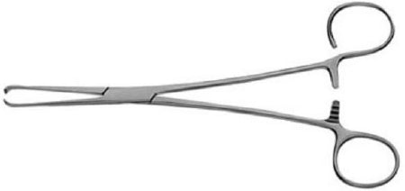 V. Mueller Tonsil Seizing Forceps - M-813165-1969 - Each