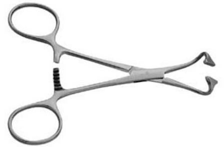 V. Mueller Towel Forceps 4 Inch Length Mid Grade Stainless Steel Non-Perforating Tips - M-813312-4780 - Each