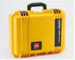 The Palm Tree Group Carrying Case For Lifepak® 1000