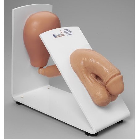 Nasco Male Catheterization Training Model Simulaids® Male 3 lbs.