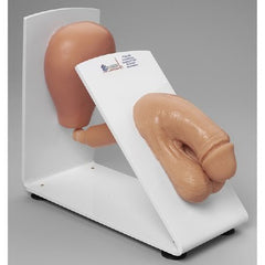 Nasco Male Catheterization Training Model Simulaids® Male 3 lbs.