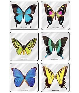Medibadge MiniBadges™ 75 per Unit Foil Butterflies Sticker