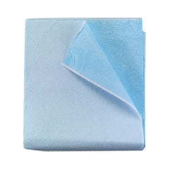 Tidi Products Stretcher Sheet Tidi® Everyday Flat 40 X 60 Inch Blue Tissue / Polyethylene Film Disposable