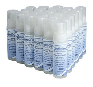 Paragon Alcohol-Free Hand Sanitizer with Aloe GentleCare™ 7.5 oz. BZK (Benzalkonium Chloride) Foaming Pump Bottle