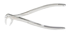 Miltex Extracting Forceps Miltex® English OR Grade German Stainless Steel NonSterile NonLocking Plier Handle - M-880549-4912 - Each