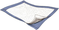 Griffin Care Underpad Passport™ 22 X 35 Inch Disposable Fluff Light Absorbency - M-880780-1744 - Case of 100