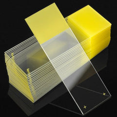 Globe Scientific Microscope Slide Diamond® White Glass Charged 25 X 75 X 1 mm Yellow Frosted End
