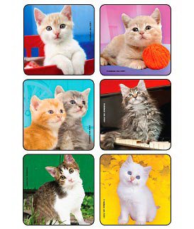 Medibadge Kids Love Stickers® 90 per Unit Cute Kitten Photos , Assorted Sticker