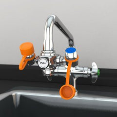 Fisher Scientific Eyewash Station Guardian EyeSafe™ Faucet Mount