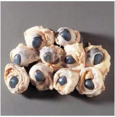 Ward's Science Preserved Sheep Eye Ward's Available in vacuum packs or pails