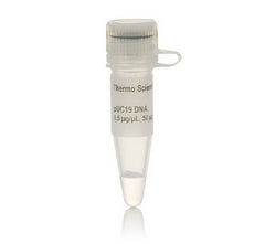 Fisher Scientific Biochemical Thermo Scientific™ PUC19 DNA 0.5 µg / µL 50 µg