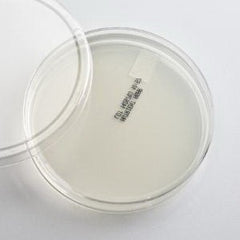 Ward's Science Prepared Media Nutrient Agar Plate Format