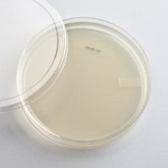 Ward's Science PLATES TRYPTIC SOY AGAR 10/E 10/EA